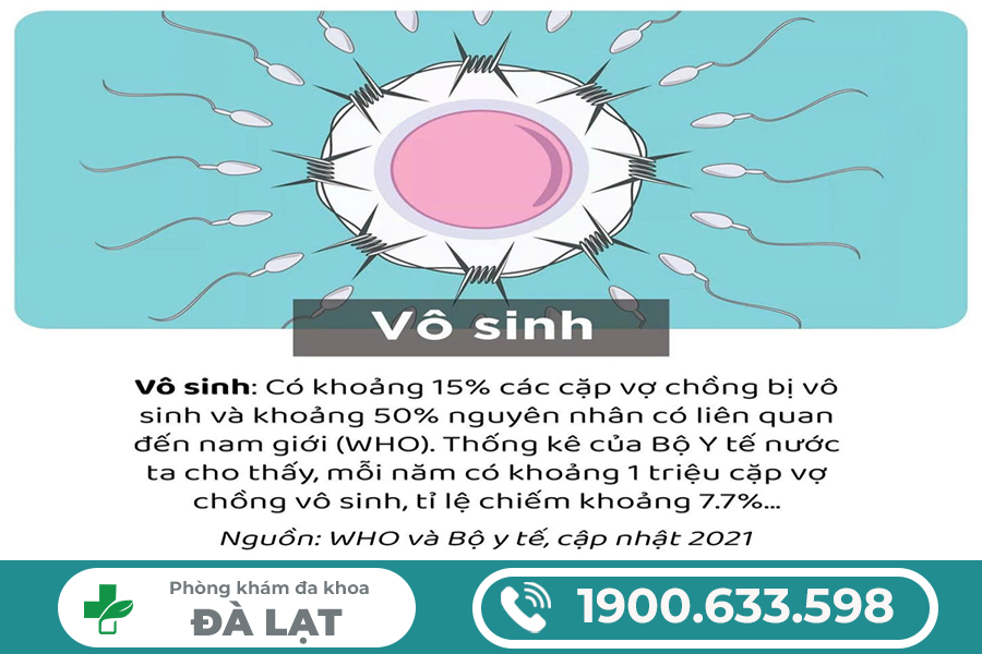 Hình ảnh minh họa